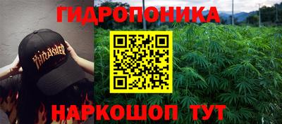 мяу мяу мука Чапаевск